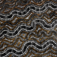 Aboriginal Artwork by Athena Nangala Granites, Ngapa Jukurrpa (Water Dreaming) - Puyurru, 107x46cm
