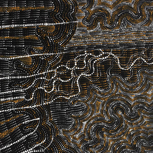 Aboriginal Artwork by Athena Nangala Granites, Ngapa Jukurrpa (Water Dreaming)  -  Puyurru, 107x46cm - ART ARK®