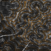 Aboriginal Artwork by Athena Nangala Granites, Ngapa Jukurrpa (Water Dreaming) - Puyurru, 107x46cm