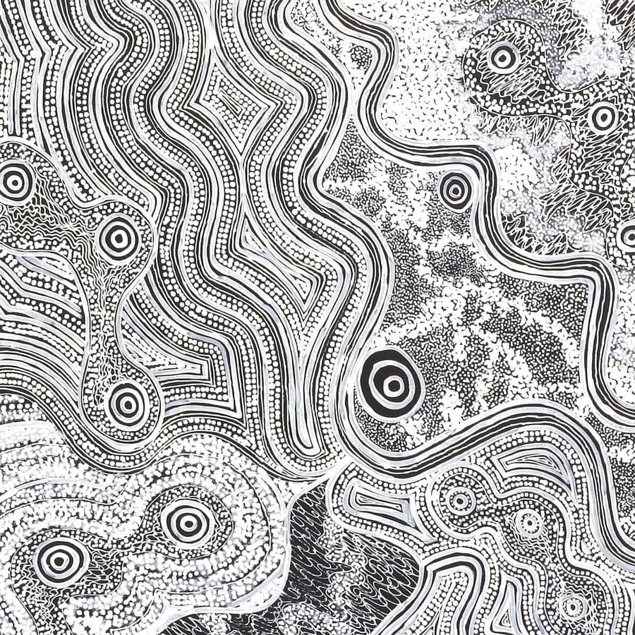 Aboriginal Artwork by Athena Nangala Granites, Ngapa Jukurrpa (Water Dreaming) - Puyurru, 91x61cm