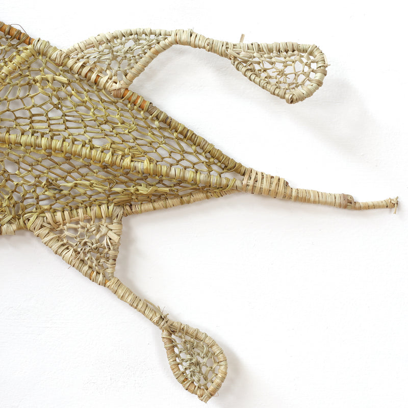 Aboriginal Artwork by Audrey Marrday, Nyangura (Long necked turtle) Weaving, 96x43cm