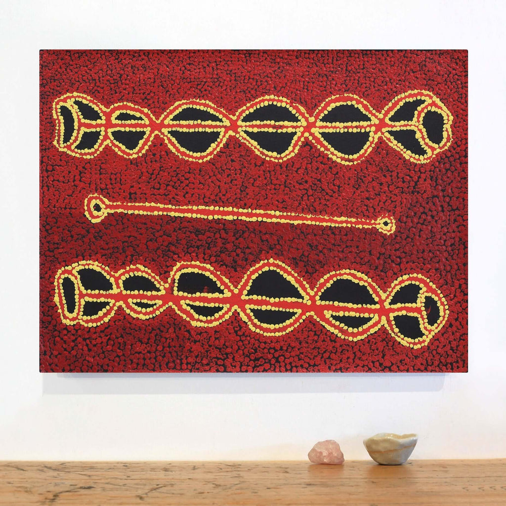 Aboriginal Art by Bernard Japanangka Watson, Pamapardu Jukurrpa - Warntungurru, 61x46cm - ART ARK®