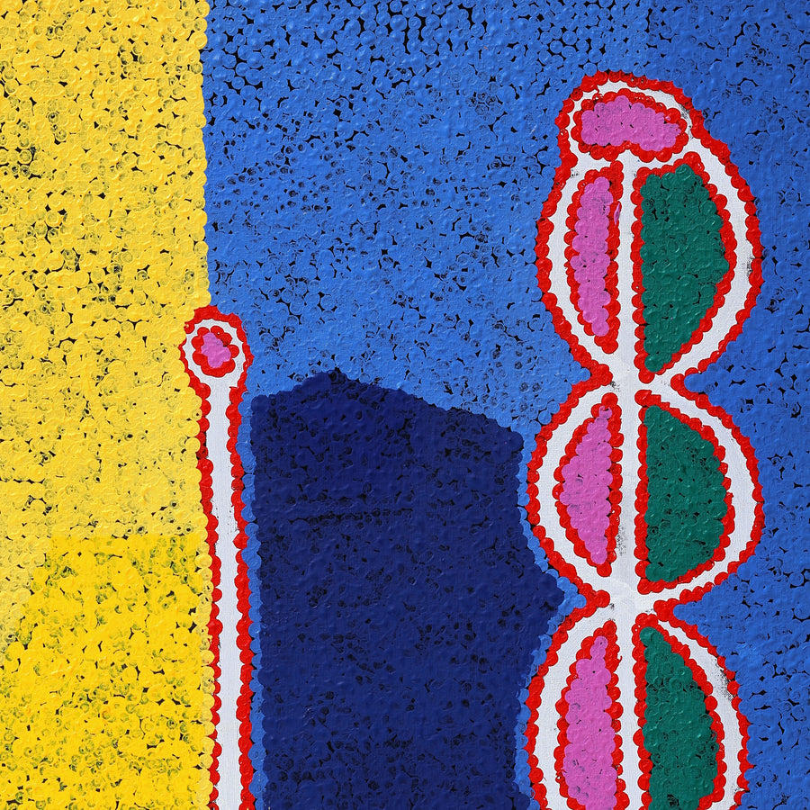 Aboriginal Artwork by Bernard Japanangka Watson, Pamapardu Jukurrpa - Warntungurru, 91x76cm