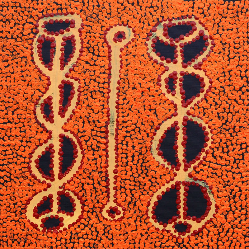 Aboriginal Artwork by Bernard Japanangka Watson, Pamapardu Jukurrpa - Warntungurru, 30x30cm