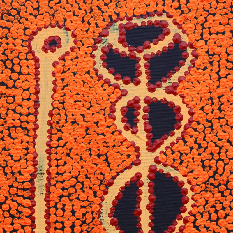 Aboriginal Artwork by Bernard Japanangka Watson, Pamapardu Jukurrpa - Warntungurru, 30x30cm