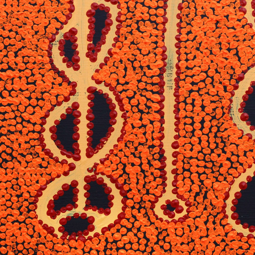 Aboriginal Artwork by Bernard Japanangka Watson, Pamapardu Jukurrpa - Warntungurru, 30x30cm