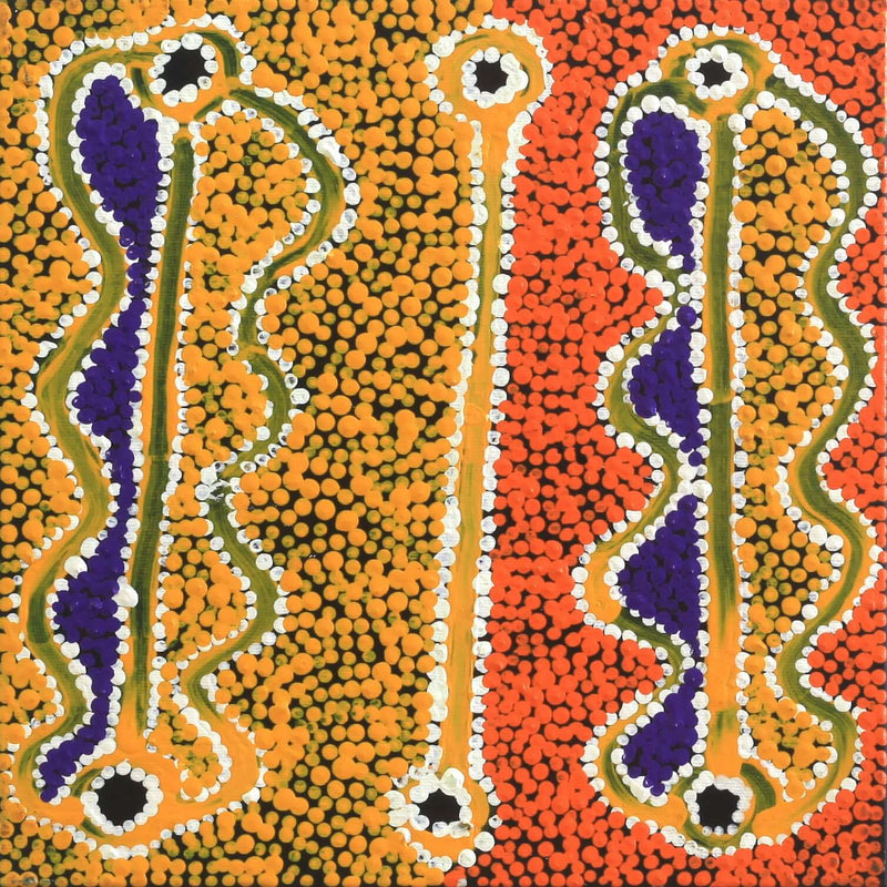 Aboriginal Artwork by Bernard Japanangka Watson, Pamapardu Jukurrpa - Warntungurru, 30x30cm