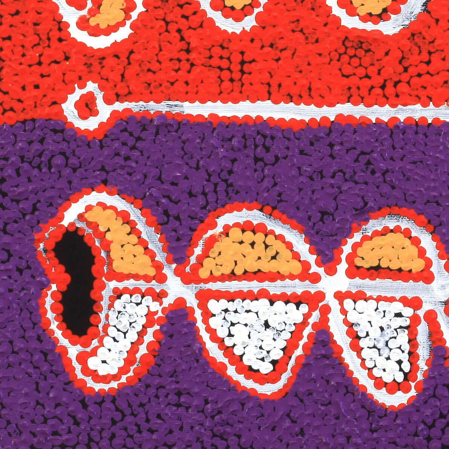 Aboriginal Artwork by Bernard Japanangka Watson, Pamapardu Jukurrpa - Warntungurru, 30x30cm