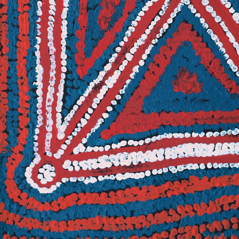 Aboriginal Artwork by Bessie Nakamarra Sims, Ngarlajiyi Jukurrpa (Bush Carrot Dreaming), 46x30cm