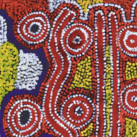 Aboriginal Artwork by Bessie Nakamarra Sims, Ngapa Jukurrpa (Water Dreaming) - Wapurtali, 61x46cm