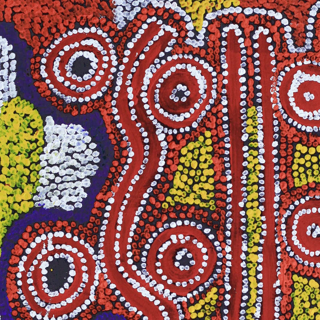 Aboriginal Artwork by Bessie Nakamarra Sims, Ngapa Jukurrpa (Water Dreaming) - Wapurtali, 61x46cm - ART ARK®