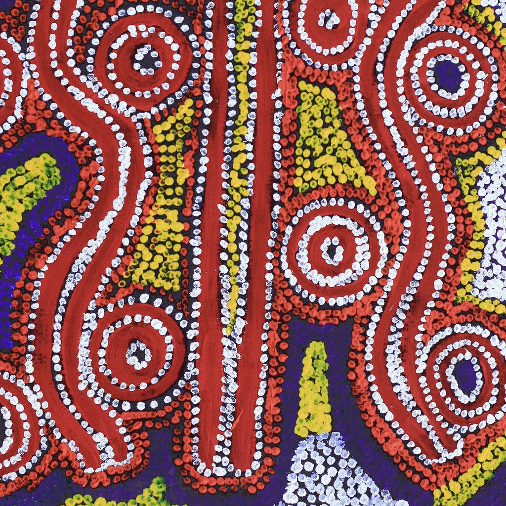 Aboriginal Artwork by Bessie Nakamarra Sims, Ngapa Jukurrpa (Water Dreaming) - Wapurtali, 61x46cm