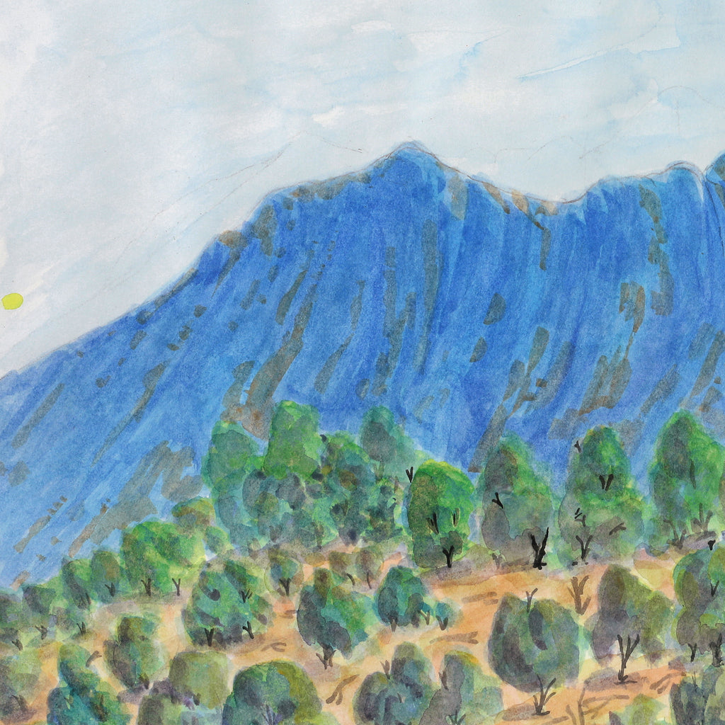 Aboriginal Artwork by Betty Naparula Namatjira Wheeler, Rutjipma (Mt Sonder), 54.5x35.5cm
