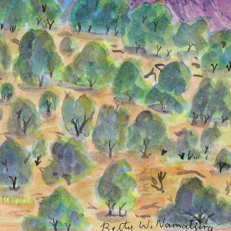 Aboriginal Artwork by Betty Naparula Namatjira Wheeler, Rutjipma (Mt Sonder), 54.5x35.5cm