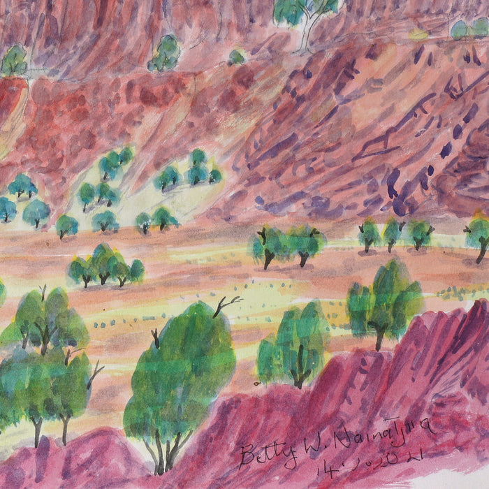 Aboriginal Art by Betty Naparula Namatjira Wheeler, West of James Range, 54x36cm - ART ARK®