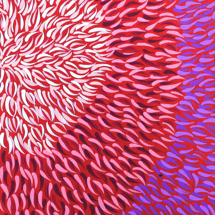 Aboriginal Artwork by Bianca Nampijinpa Turner, Simpson Desert Flowers, 30x30cm