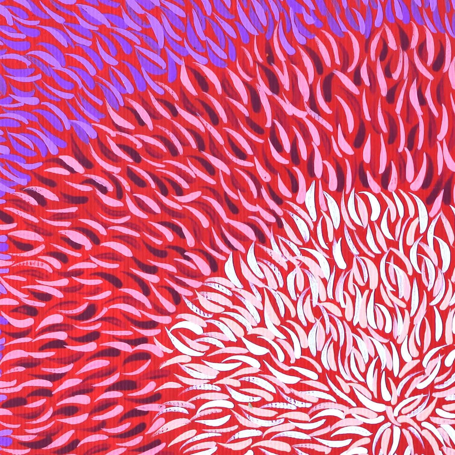 Aboriginal Artwork by Bianca Nampijinpa Turner, Simpson Desert Flowers, 30x30cm