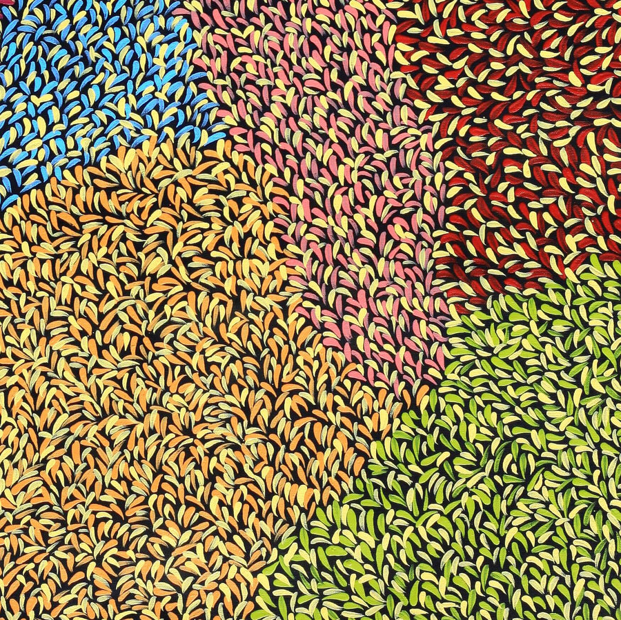 Aboriginal Artwork by Bianca Nampijinpa Turner, Simpson Desert Flowers, 91x76cm