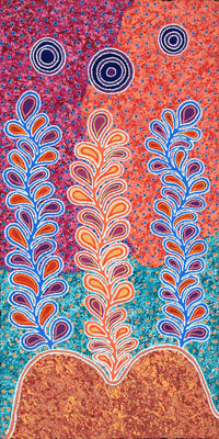 Aboriginal Artwork by Brenda Punytjina Armstrong, Kaliny-kalinypa / Ultukunpa Jukurrpa - Honey Grevillea Dreaming, 122x61cm