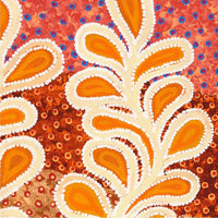 Aboriginal Artwork by Brenda Punytjina Armstrong, Kaliny-kalinypa / Ultukunpa Jukurrpa - Honey Grevillea Dreaming, 91x46cm