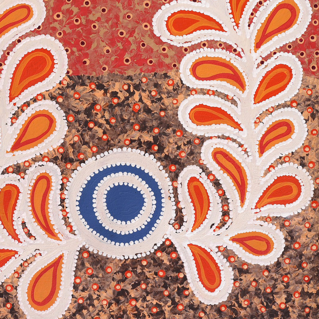 Aboriginal Artwork by Brenda Punytjina Armstrong, Kaliny-kalinypa / Ultukunpa Jukurrpa - Honey Grevillea Dreaming, 76x46cm
