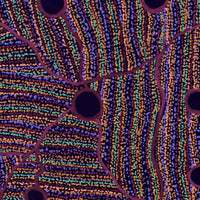 Aboriginal Artwork by Carol Young, Amanyi Young, 91x91cm