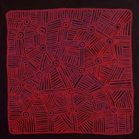 Aboriginal Artwork by Carol Young, Walka Wiru Ngura Wiru, 91x91cm