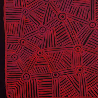 Aboriginal Artwork by Carol Young, Walka Wiru Ngura Wiru, 91x91cm