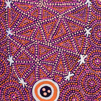 Aboriginal Artwork by Carol Napaljarri Kitson, Ngatijirri Jukurrpa (Budgerigar Dreaming), 61x30cm