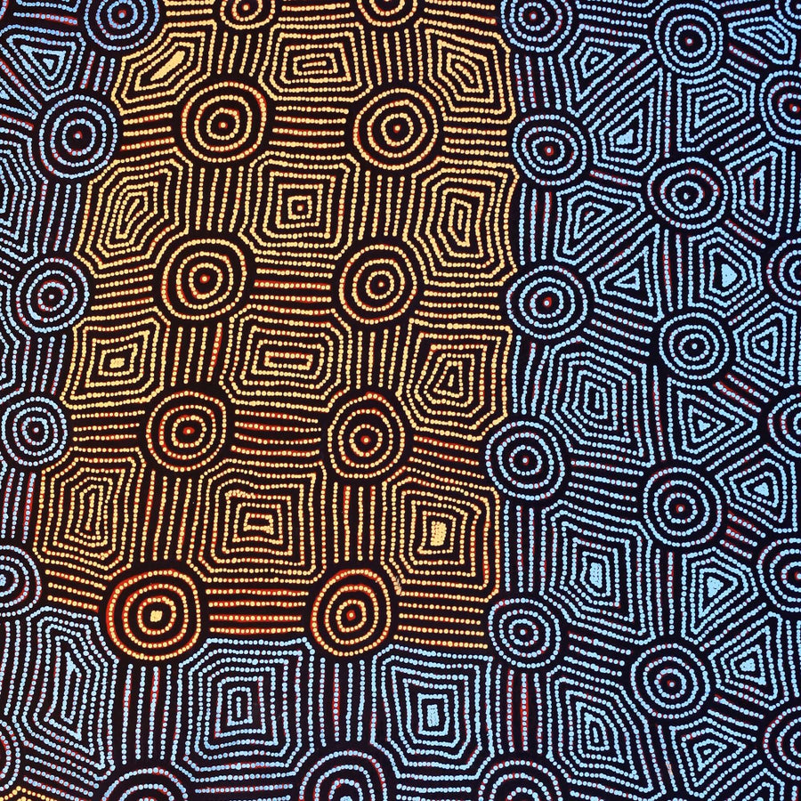 Aboriginal Artwork by Carol Nampijinpa Larry, Karnta Jukurrpa (Womens Dreaming), 152x107cm
