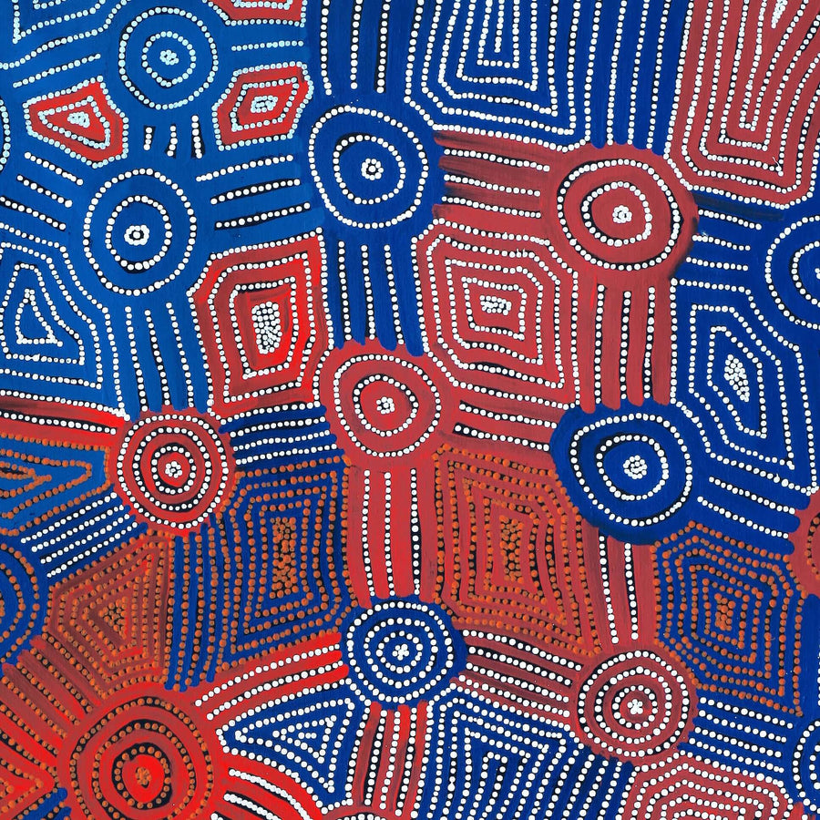 Aboriginal Artwork by Carol Nampijinpa Larry, Karnta Jukurrpa (Womens Dreaming), 182x122cm