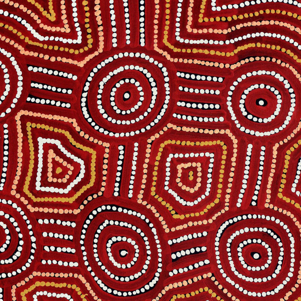 Aboriginal Artwork by Carol Nampijinpa Larry, Karnta Jukurrpa (Womens Dreaming), 61x46cm