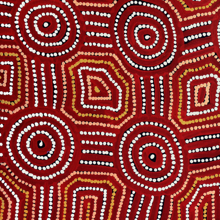 Aboriginal Artwork by Carol Nampijinpa Larry, Karnta Jukurrpa (Womens Dreaming), 61x46cm