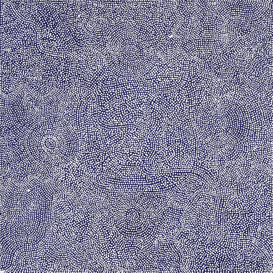 Aboriginal Artwork by Caroline Nakamarra Gibson, Ngapa Jukurrpa (Water Dreaming) - Wapurtali, 107x107cm