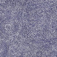 Aboriginal Artwork by Caroline Nakamarra Gibson, Ngapa Jukurrpa (Water Dreaming) - Wapurtali, 107x107cm