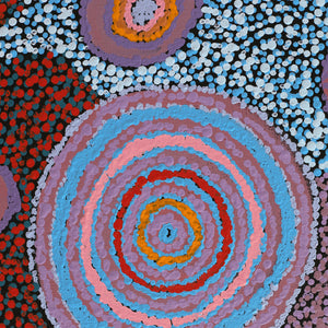 Aboriginal Artwork by Carolyn Dunn, Piltati Tjukurpa, 101x76cm - ART ARK®