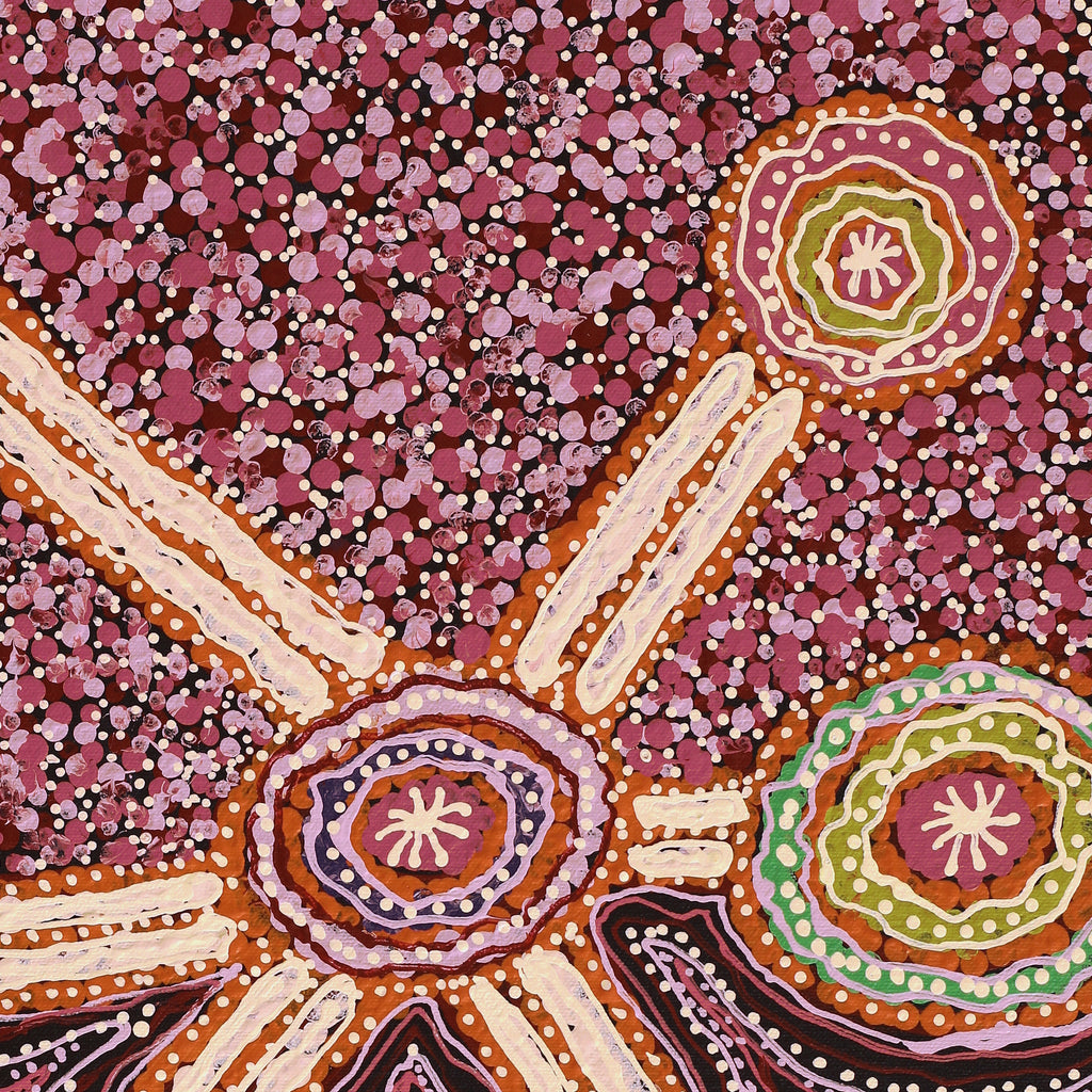 Aboriginal Artwork by Carolyn Dunn, Piltati Tjukurpa, 50.5x40cm