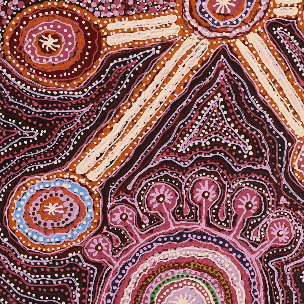 Aboriginal Artwork by Carolyn Dunn, Piltati Tjukurpa, 50.5x40cm