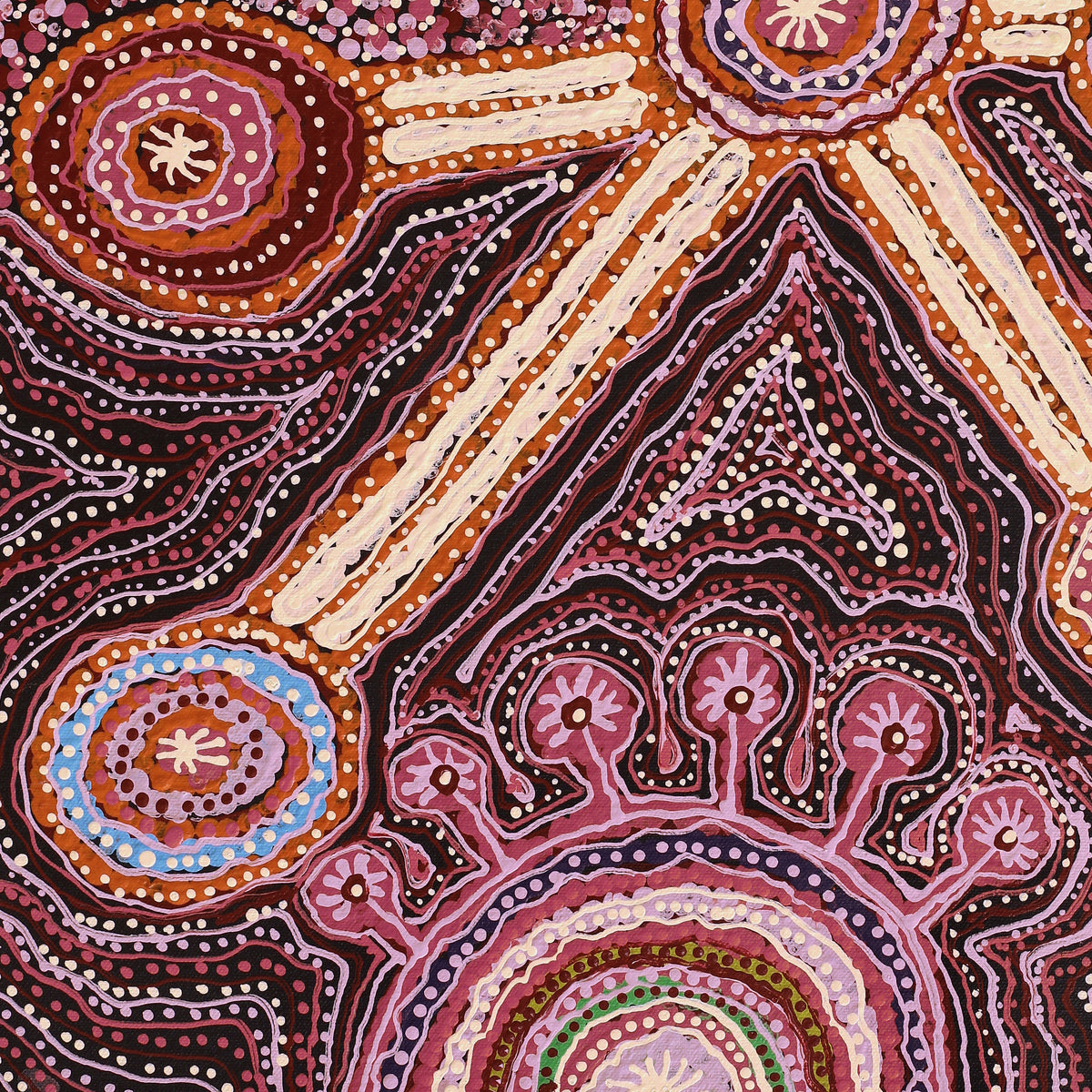 Aboriginal Art by Carolyn Dunn, Piltati Tjukurpa, 50.5x40cm - ART ARK®