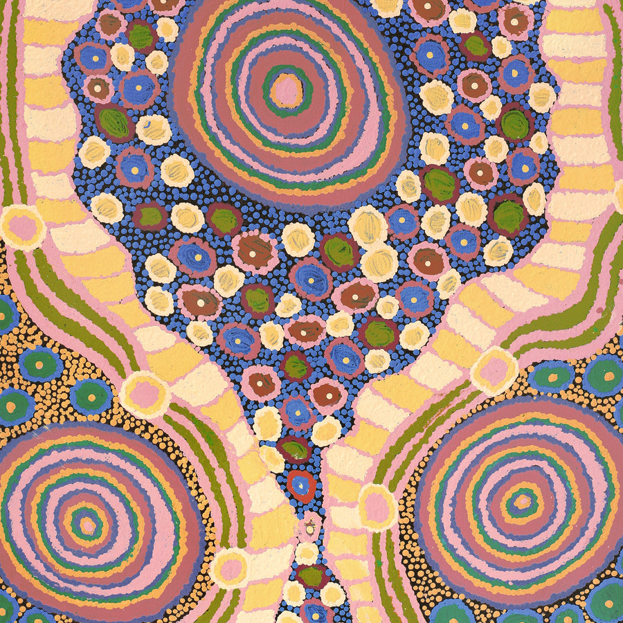 Aboriginal Artwork by Carolyn Dunn, Piltati Tjukurpa, 83x50cm