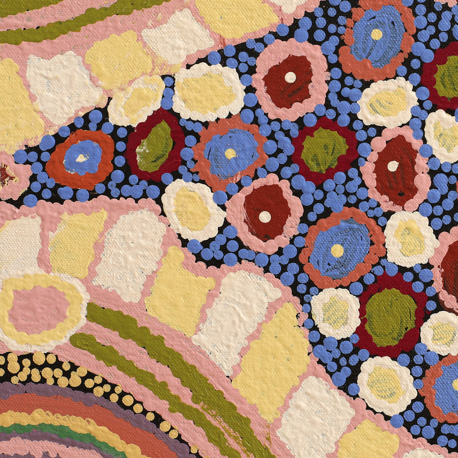 Aboriginal Artwork by Carolyn Dunn, Piltati Tjukurpa, 83x50cm