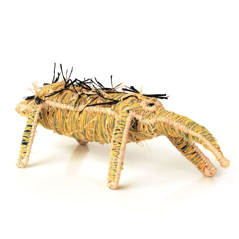 Aboriginal Artwork by Carolyn Kenta - Echidna Tjanpi Sculpture