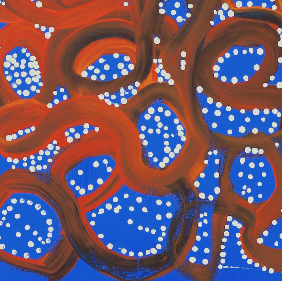 Aboriginal Artwork by Cassaria Young Hogan, Walka Wiru Ngura Wiru, 61x55cm