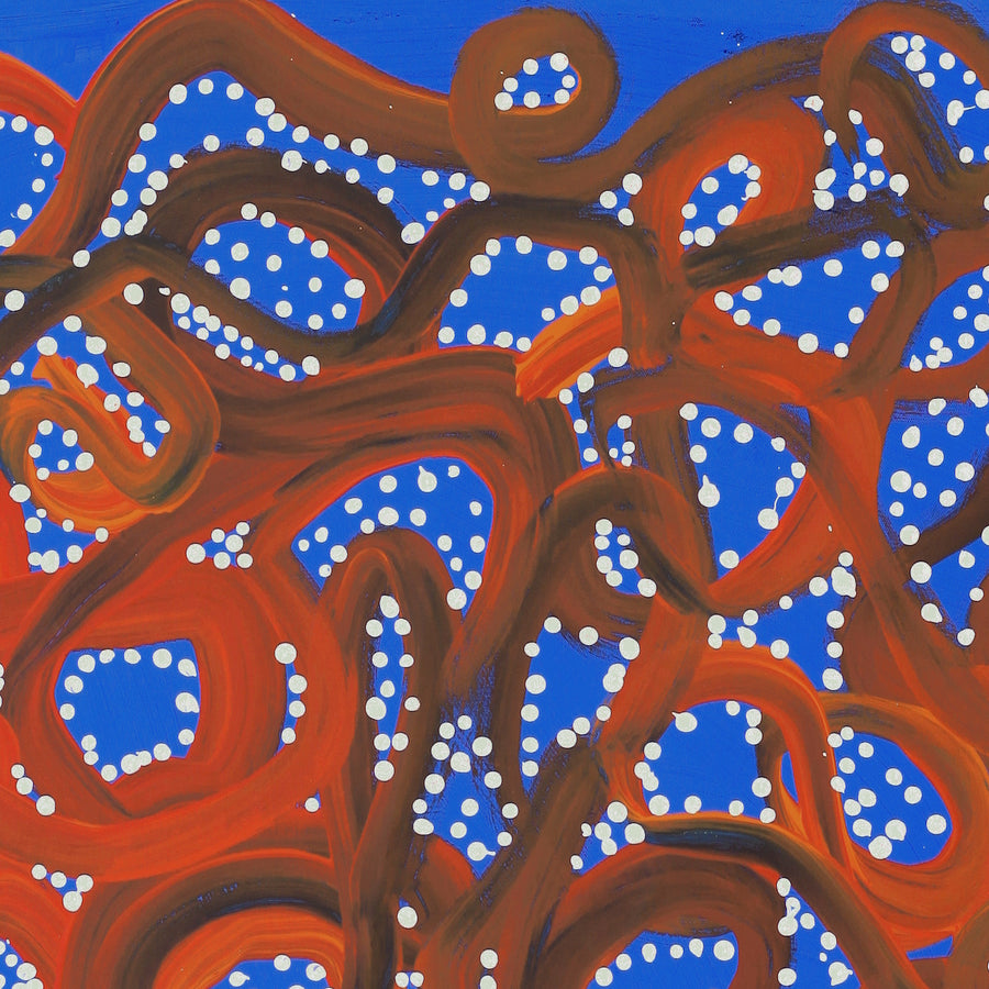 Aboriginal Artwork by Cassaria Young Hogan, Walka Wiru Ngura Wiru, 61x55cm