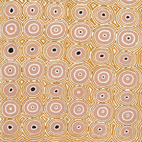 Aboriginal Artwork by Cecily Napanangka Marshall, (Brush-tail Possum Dreaming) - Mawurrji, 122x61cm