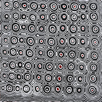 Aboriginal Artwork by Cecily Napanangka Marshall, Pikilyi Jukurrpa (Vaughan Springs Dreaming), 91x91cm