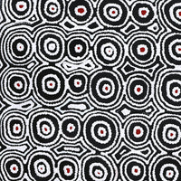 Aboriginal Artwork by Cecily Napanangka Marshall, Pikilyi Jukurrpa (Vaughan Springs Dreaming), 91x91cm