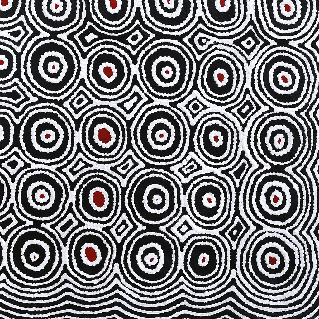 Aboriginal Artwork by Cecily Napanangka Marshall, Pikilyi Jukurrpa (Vaughan Springs Dreaming), 91x91cm