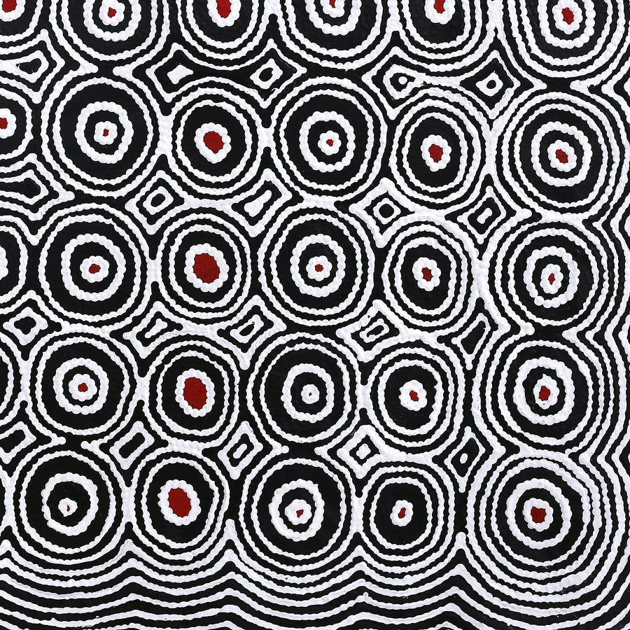 Aboriginal Artwork by Cecily Napanangka Marshall, Pikilyi Jukurrpa (Vaughan Springs Dreaming), 91x91cm