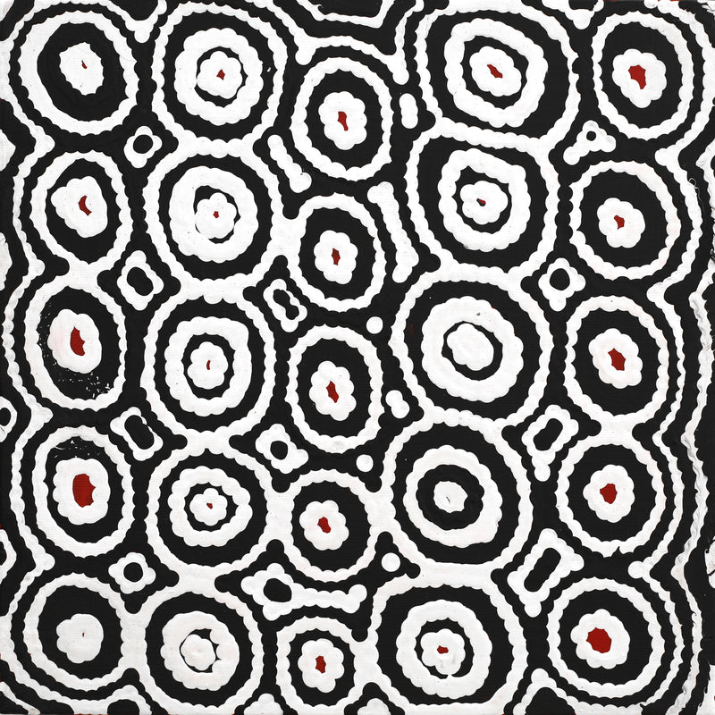 Aboriginal Artwork by Cecily Napanangka Marshall, Karnta Jukurrpa (Womens Dreaming), 30x30cm